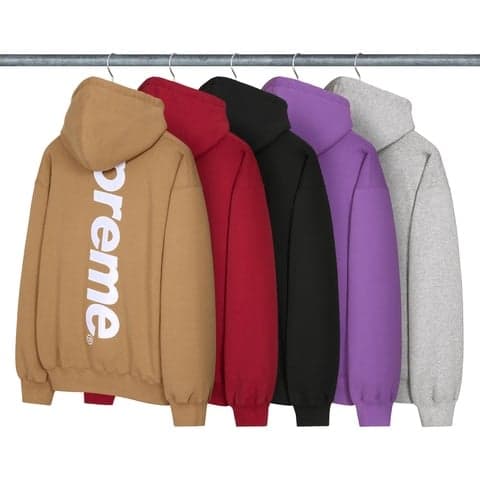 Satin Appliqué Hooded Sweatshirt